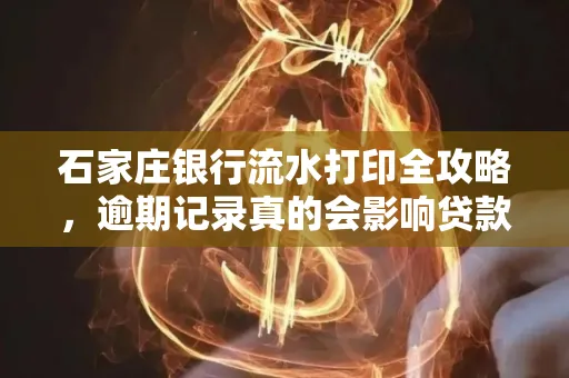 石家庄银行流水打印全攻略,逾期记录真的会影响贷款吗?