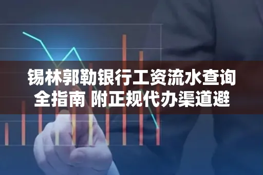 锡林郭勒银行工资流水查询全指南 附正规代办渠道避坑