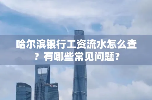 哈尔滨银行工资流水怎么查?有哪些常见问题? 哈尔滨银行工资流水怎么查?有哪些常见问题?