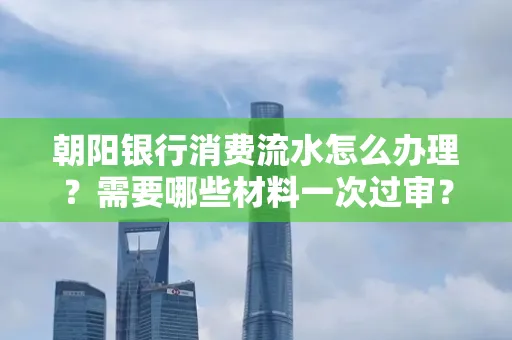 朝阳银行消费流水怎么办理?需要哪些材料一次过审?