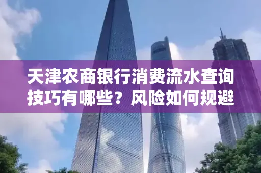 天津农商银行消费流水查询技巧有哪些?风险如何规避?