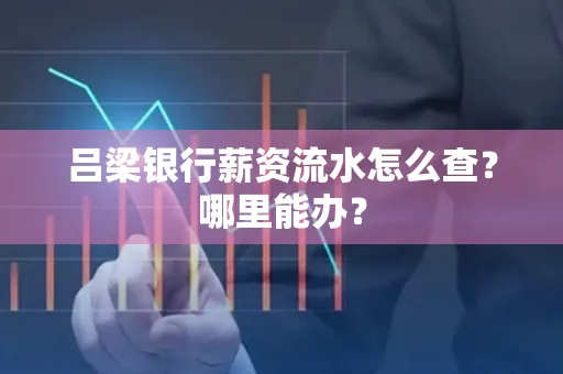 吕梁银行薪资流水怎么查?哪里能办?