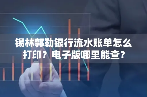 锡林郭勒银行流水账单怎么打印？电子版哪里能查？