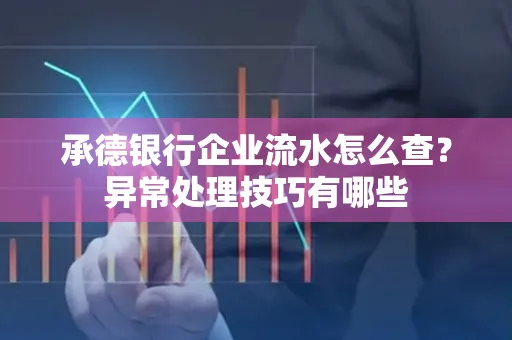 承德银行企业流水怎么查？异常处理技巧有哪些