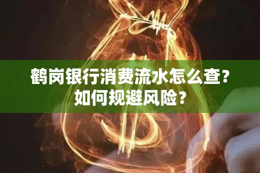 鹤岗银行消费流水怎么查?如何规避风险?