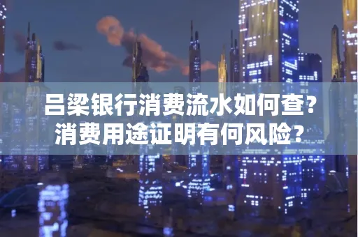 吕梁银行消费流水如何查?消费用途证明有何风险?