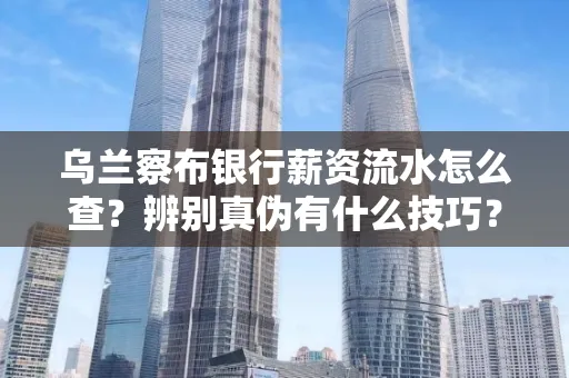 乌兰察布银行薪资流水怎么查?辨别真伪有什么技巧?
