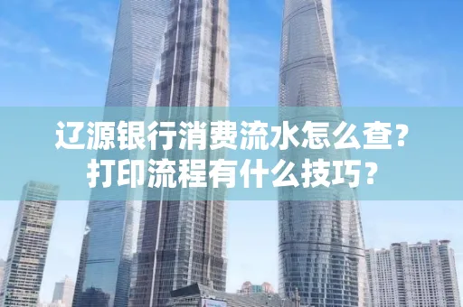辽源银行消费流水怎么查?打印流程有什么技巧?