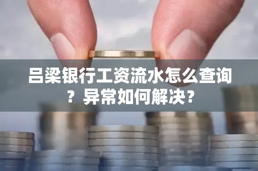 吕梁银行工资流水怎么查询?异常如何解决?