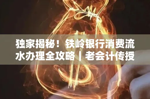 独家揭秘!铁岭银行消费流水办理全攻略|老会计传授防诈技巧