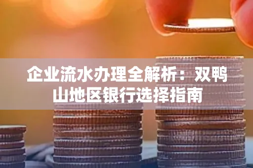 企业流水办理全解析:双鸭山地区银行选择指南