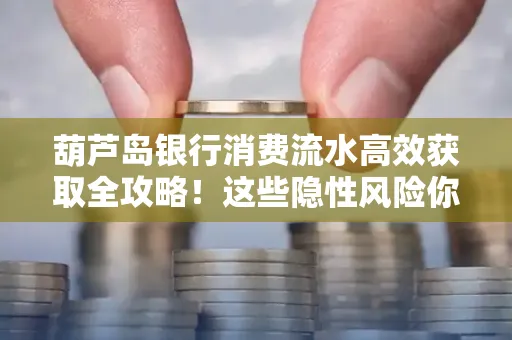 葫芦岛银行消费流水高效获取全攻略!这些隐性风险你必须知道