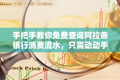 手把手教你免费查询阿拉善银行消费流水,只需动动手指就能完成