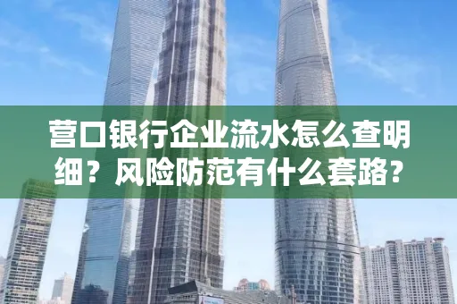 营口银行企业流水怎么查明细?风险防范有什么套路?