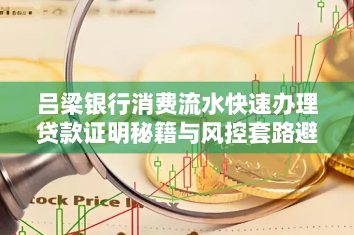 吕梁银行消费流水快速办理贷款证明秘籍与风控套路避坑指南