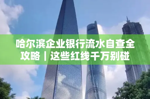 哈尔滨企业银行流水自查全攻略|这些红线千万别碰