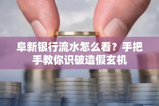 阜新银行流水怎么看?手把手教你识破造假玄机