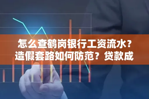 怎么查鹤岗银行工资流水?造假套路如何防范?贷款成功率翻倍攻略