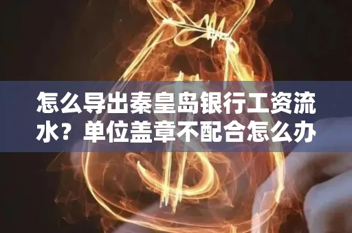 怎么导出秦皇岛银行工资流水?单位盖章不配合怎么办?