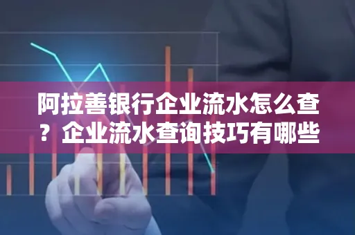 阿拉善银行企业流水怎么查？企业流水查询技巧有哪些？