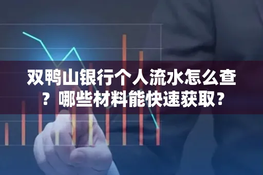 双鸭山银行个人流水怎么查?哪些材料能快速获取?