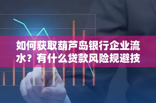 如何获取葫芦岛银行企业流水?有什么贷款风险规避技巧?
