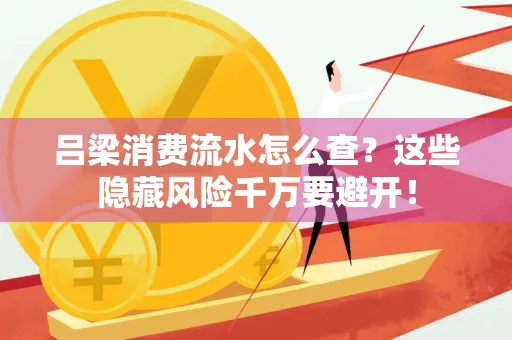吕梁消费流水怎么查?这些隐藏风险千万要避开!