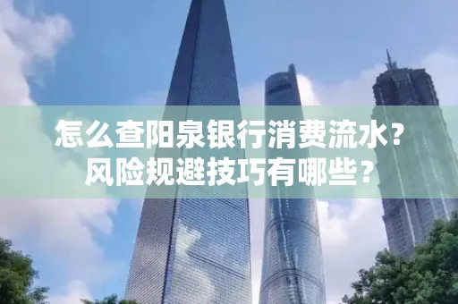 怎么查阳泉银行消费流水？风险规避技巧有哪些？