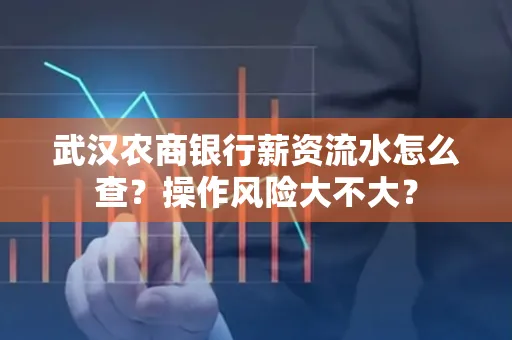 武汉农商银行薪资流水怎么查?操作风险大不大?