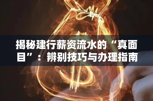 揭秘建行薪资流水的“真面目”:辨别技巧与办理指南大公开