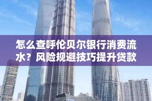 怎么查呼伦贝尔银行消费流水?风险规避技巧提升贷款率?