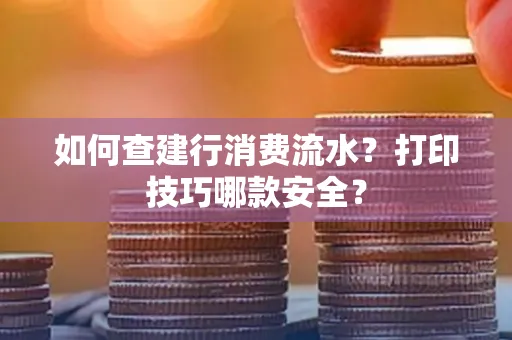 如何查建行消费流水?打印技巧哪款安全?